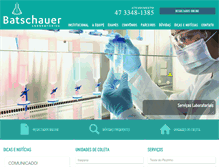 Tablet Screenshot of batschauer.com.br